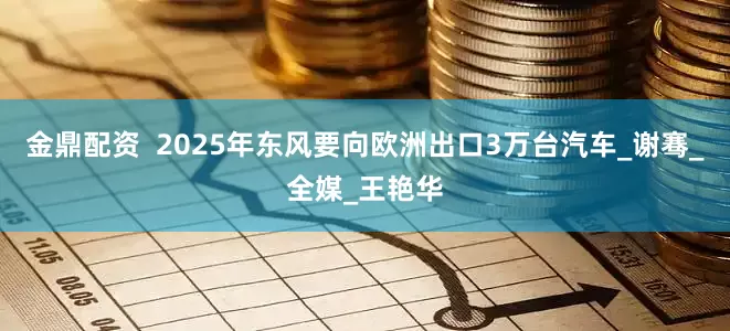 金鼎配资  2025年东风要向欧洲出口3万台汽车_谢骞_全媒_王艳华