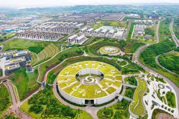 途乐证券 “大红包”！全年分红将超87亿元！泸州老窖2024年净利润134.73亿元