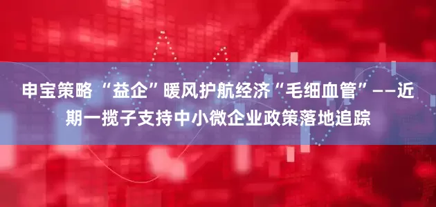 申宝策略 “益企”暖风护航经济“毛细血管”——近期一揽子支持中小微企业政策落地追踪