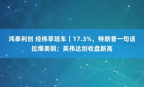 鸿泰利创 经纬早班车｜17.3%，特朗普一句话拉爆美铜；英伟达创收盘新高