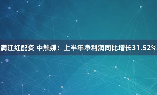 满江红配资 中触媒：上半年净利润同比增长31.52%