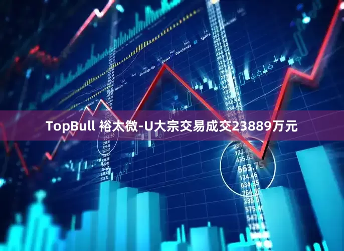 TopBull 裕太微-U大宗交易成交23889万元